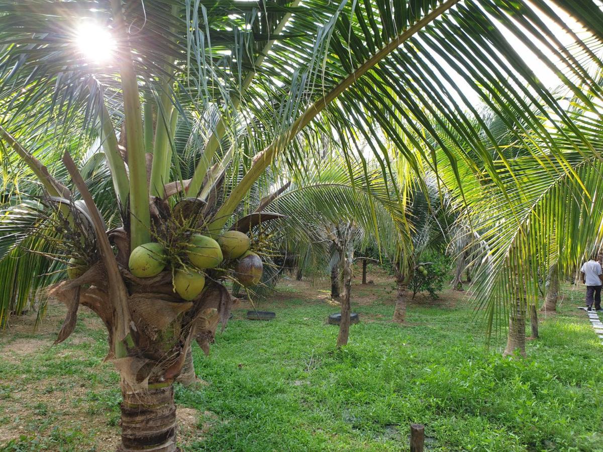 Baan Suan Coconut Ko Yao Noi Hotell Exteriör bild
